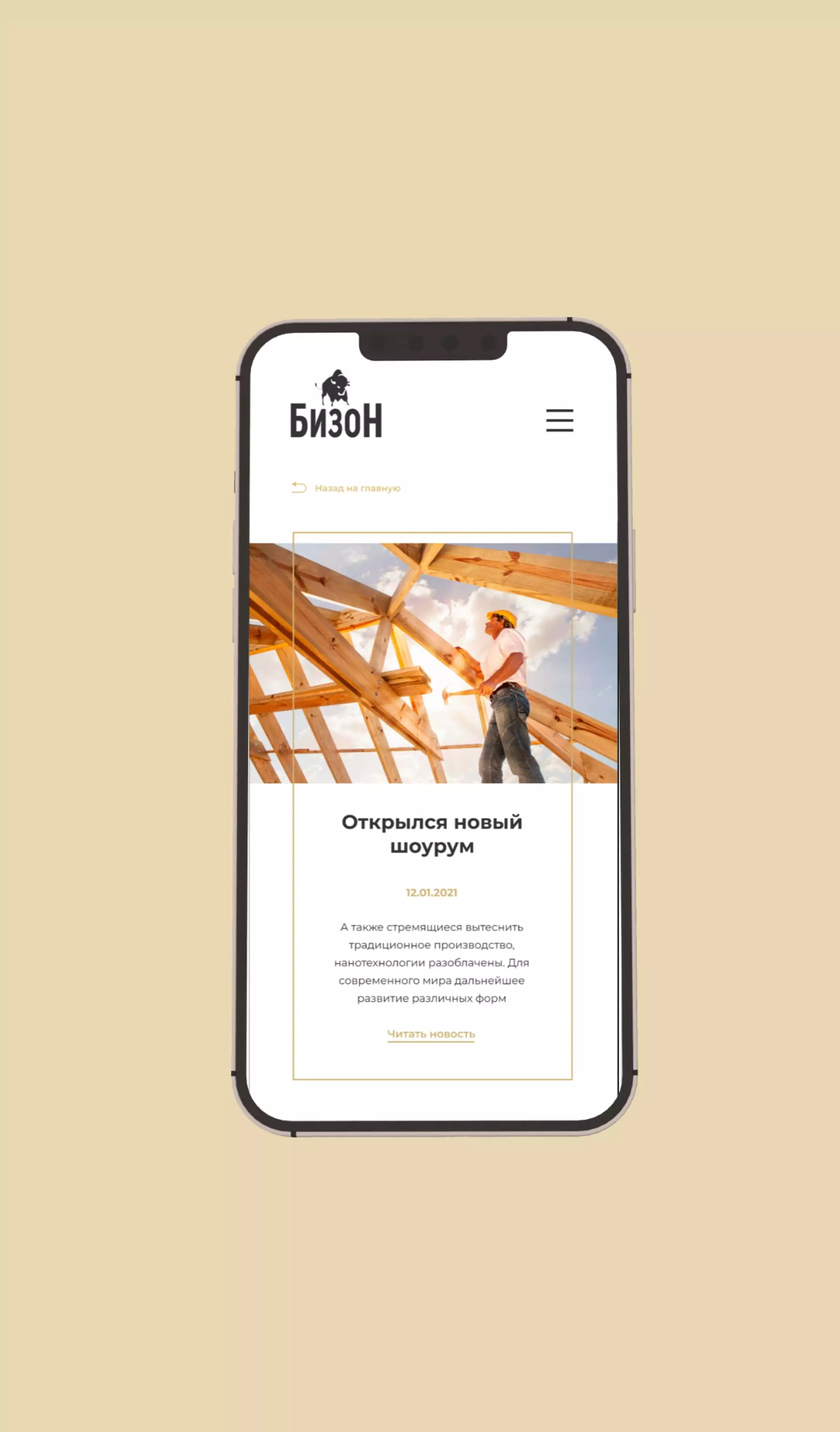 Imagen del portafolio — agencia digital Toimi