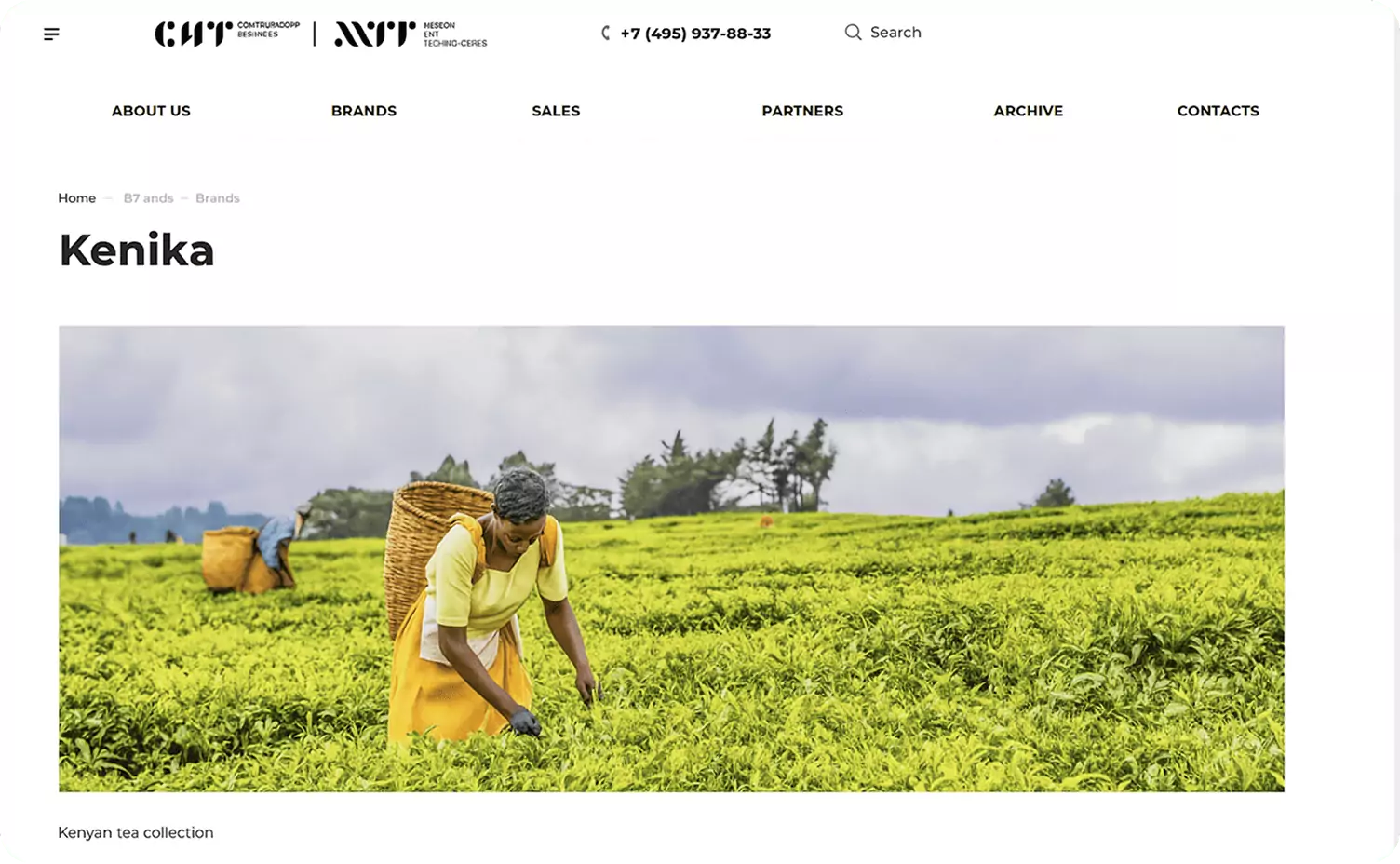 Captura de pantalla del sitio web Kenika